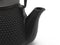 Bredemeijer Teapot Wuhan 0.8L cast iron black