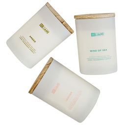 Beliani SIMPLICITY - Scented candle set - Leather/Sea breeze/Amber - Soy wax