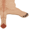 Beliani MUFASA - Children's rug - Beige - 100 x 160 cm - Wool