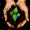 Culvita - Garden soil 40 L - Organic soil improver - Suitable for raising your garden