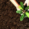 Culvita - Garden soil 40 L - Organic soil improver - Suitable for raising your garden