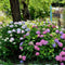 Culvita | Planting soil acid-loving 40 L | suitable for azalea, hydrangea and rhododendron