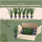 Plants by Frank | Taxus 'Baccata' hedge | plant set with 6 hardy hedge plants
