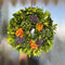 Real Wreath Luca | 30 cm Ø | Kranz Herbst | wreath for indoor and outdoor | door wreath | Wreath