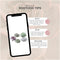 Real succulents medium mix 5 pieces - Echeveria mini's Ø7-10 cm - houseplant - succulent