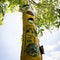 Bird Buffet | bird food XL ECO bag to hang | bird food for wild birds | 1x 650gr