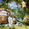 Bird Buffet | bird food ECO bag to hang | bird food for sparrows & blackbirds | 1x 300gr
