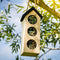 Bird Buffet | bird food Chalet to hang | bird food for nuthatches | 1x 200gr
