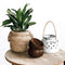 Uma Cantik Coconut Bowl