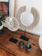 Cowrie Sunrise Shell Decor on Stand - M