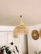 Uma Cantik Lobster Rattan Lampshade