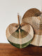 Uma Cantik Natural Fan Tricolor Green