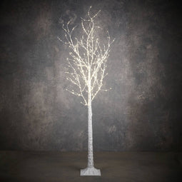 Luca Lighting Birch 600LED Christmas Lights - 100x180 cm - Classic White