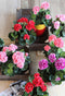 Mica Decorations Geranium Artificial plant - 25x25x35 cm - Polyester - Salmon