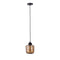 PTMD Hanging Lamp Anna - 20x20x26 cm - Glass - Brown