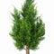 PTMD Christmas decorations Tree Koda - 70x40x90 cm - Plastic - Green