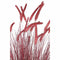 PTMD Setaria Viridis Artificial plant - 110x130x124 cm - Dark red