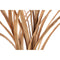 PTMD Artificial Yucca Bush Branch - 88 x 75 x 123 cm - Plastic - Brown