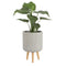 Mica Decorations Fernando Planters - H47xØ30 cm - Beige