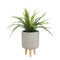 Mica Decorations Fernando Planters - H47xØ30 cm - Beige