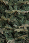 Black box artificial Christmas tree frasier fir size in cm: 185 x 124 blue green