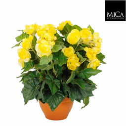 Mica Decorations begonia size in cm: 37 x 35 yellow in pot