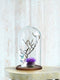 Mica Decorations Hella Stolp - 38x23 cm - Glass - Dark brown