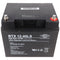 Wing BTX12-45LS 12V 47Ah high rate high current capable lead battery AGM lead gel battery