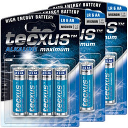 Pack of 12 Alkaline Power Mignon, AA, LR6