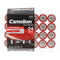 Camelion Plus alkaline AA batteries, 24 pieces in a practical storage box