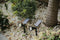 Hyundai Lighting - Prikspot verlichting op zonne-energie - 2 stuks