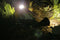 Hyundai Lighting - Prikspot verlichting op zonne-energie - 2 stuks