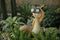 Hyundai Lighting - Dierenlamp op zonne-energie - Kat