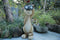 Hyundai Lighting - Dierenlamp op zonne-energie - Kat