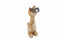 Hyundai Lighting - Dierenlamp op zonne-energie - Kat