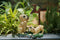 Hyundai Lighting - Dierenlamp op zonne-energie - Puppies met watertap