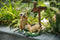 Hyundai Lighting - Dierenlamp op zonne-energie - Puppies met watertap