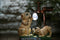 Hyundai Lighting - Dierenlamp op zonne-energie - Puppies met watertap
