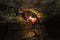 Hyundai Lighting - Flamingo Lamp op Zonne-energie