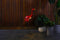 Hyundai Lighting - Flamingo Lamp op Zonne-energie