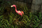 Hyundai Lighting - Flamingo Lamp op Zonne-energie