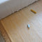 KIRTHY NUDE children's rug