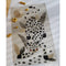 LITTLE JAGUAR IVORY children's rug