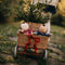 Olli Ella Dozy Dinkum Doll - Pie