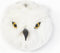 beaubybo Wild & Soft Chloe dierenkop pluche wanddecoratie - Sneeuwuil