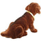 The original dachshund brown large approx. 30x20cm, the original since 1965, the original booblehead