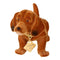 The original dachshund brown small approx. 20x10cm, the original since 1965, the original booblehead