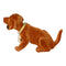 The original dachshund brown small approx. 20x10cm, the original since 1965, the original booblehead