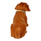 The original dachshund brown small approx. 20x10cm, the original since 1965, the original booblehead