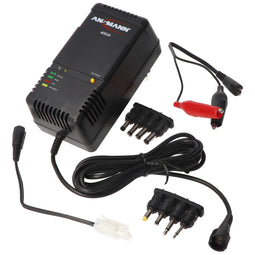 Battery pack charger ACS 110 NiCd, NiMH for 1.2 V to 12 V battery pack